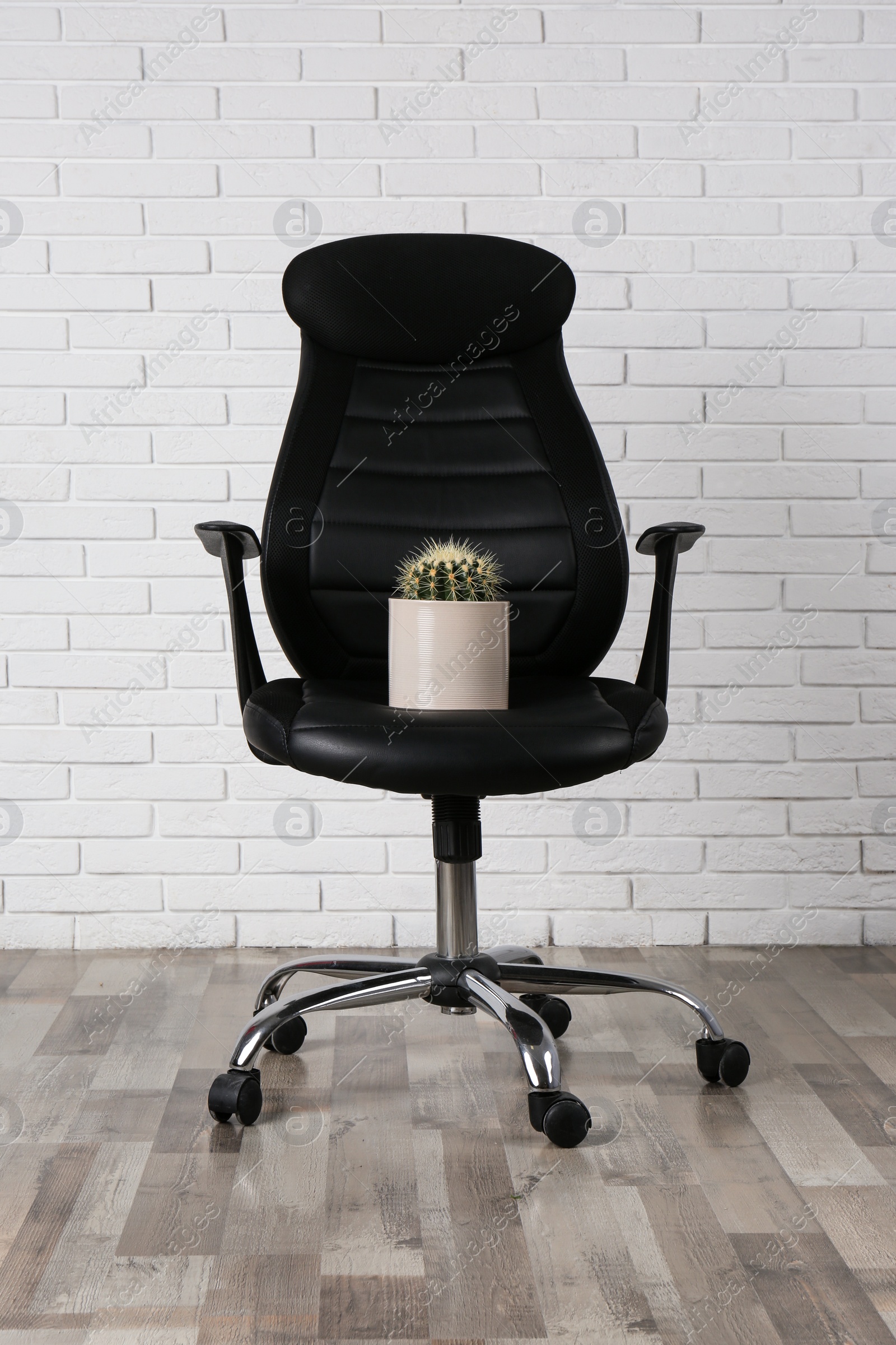 Photo of Office chair with cactus near white brick wall. Hemorrhoids concept