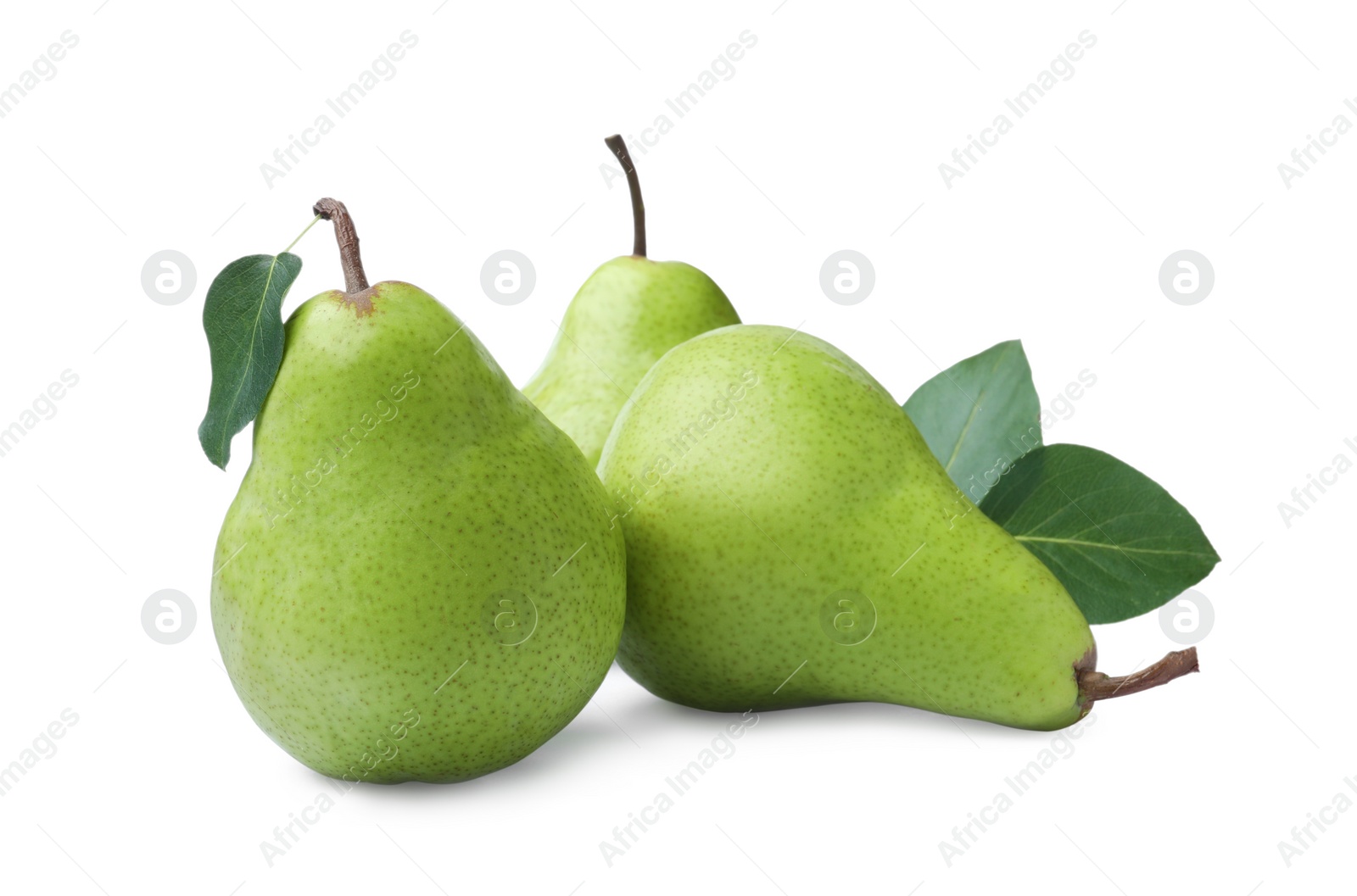 Photo of Fresh ripe pears with green leaves on white background