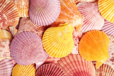 Photo of Top view of beautiful color seashells as background