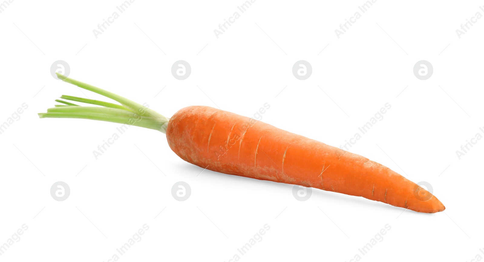 Photo of Fresh ripe carrot on white background. Wholesome vegetable