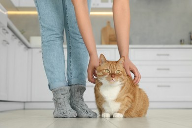 Woman petting cute cat in kitchen at home, closeup