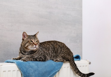Cute tabby cat on heating radiator with plaid near light grey wall