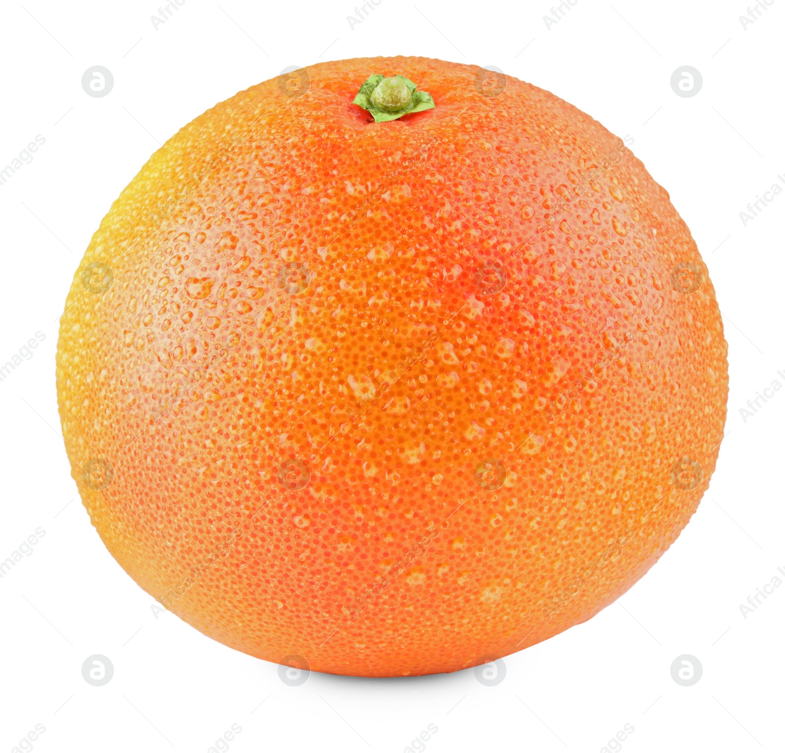 Photo of Fresh ripe grapefruit with water drops isolated on white. Citrus fruit