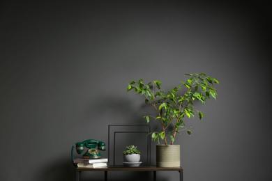 Photo of Vintage green telephone, books and houseplants on console table near grey wall indoors