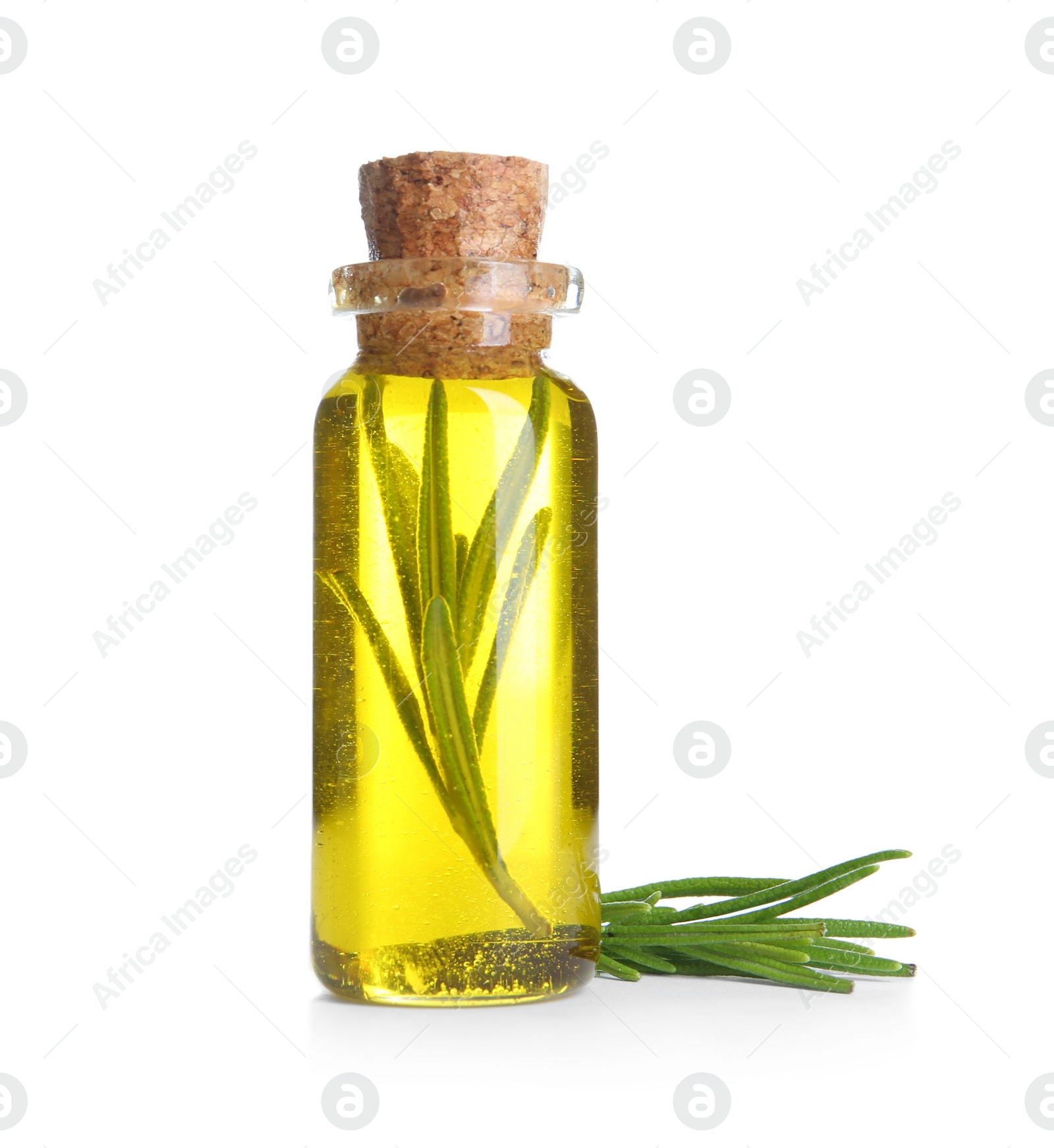 Photo of Bottle with rosemary oil and small twig on white background