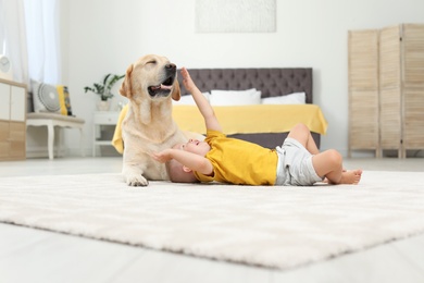 Photo of Adorable yellow labrador retriever and little boy at home