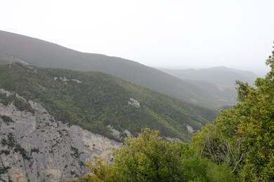 Picturesque view of green forest in mountains