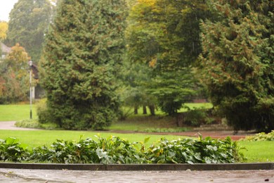 Beautiful view of park on rainy day