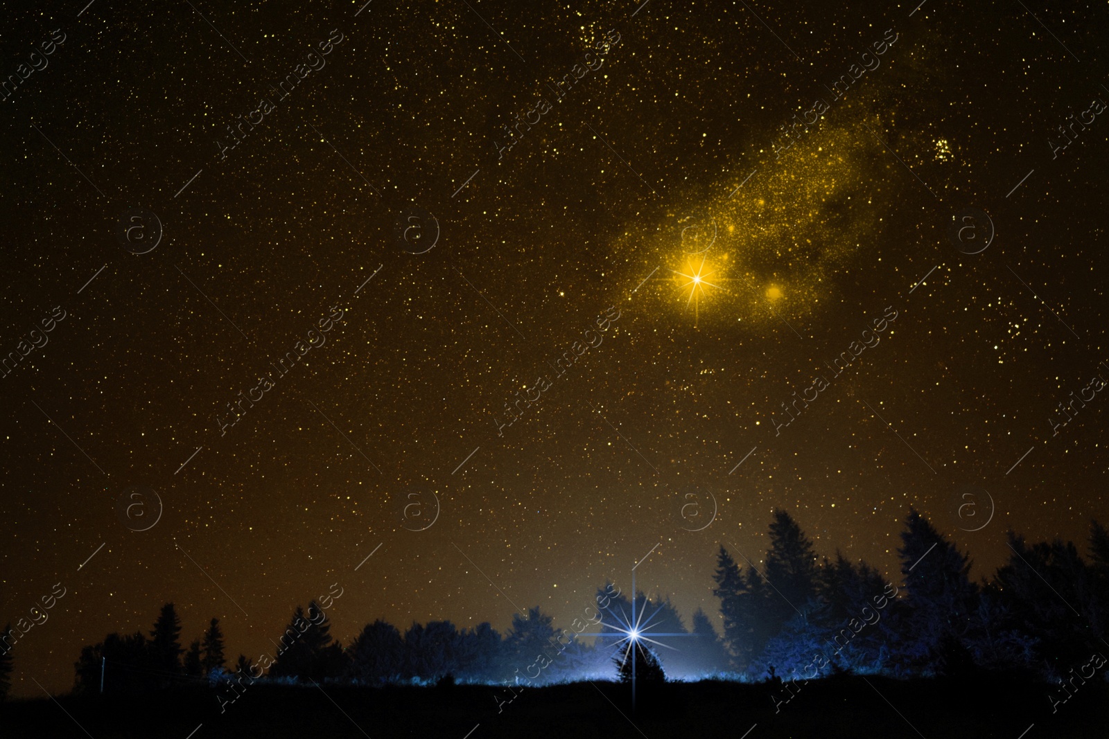 Image of Dark forest under starry sky at night