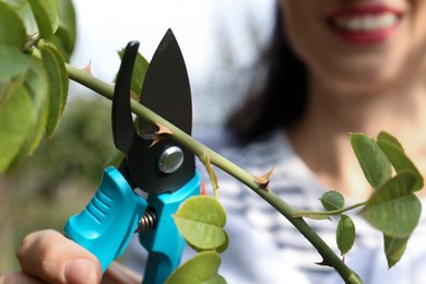 Photo of Closeup view of woman pruning branch with spikes in garden, focus on secateurs