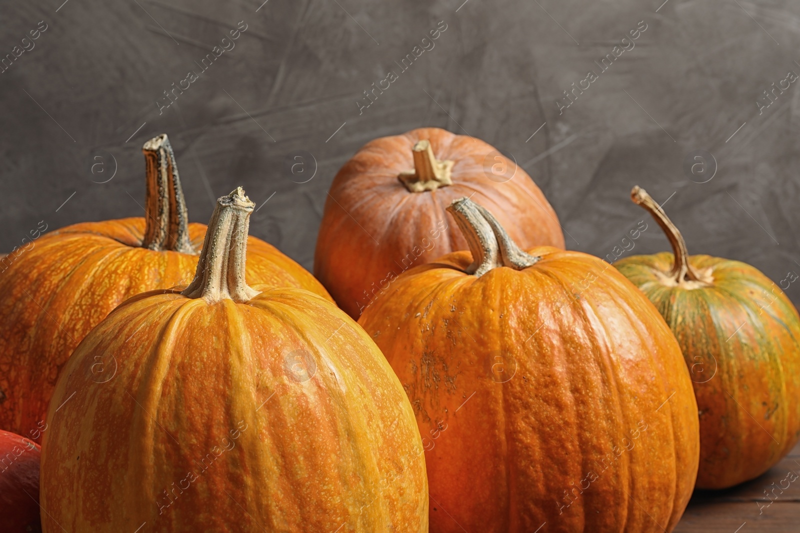 Photo of Orange pumpkins against gray background. Autumn holidays