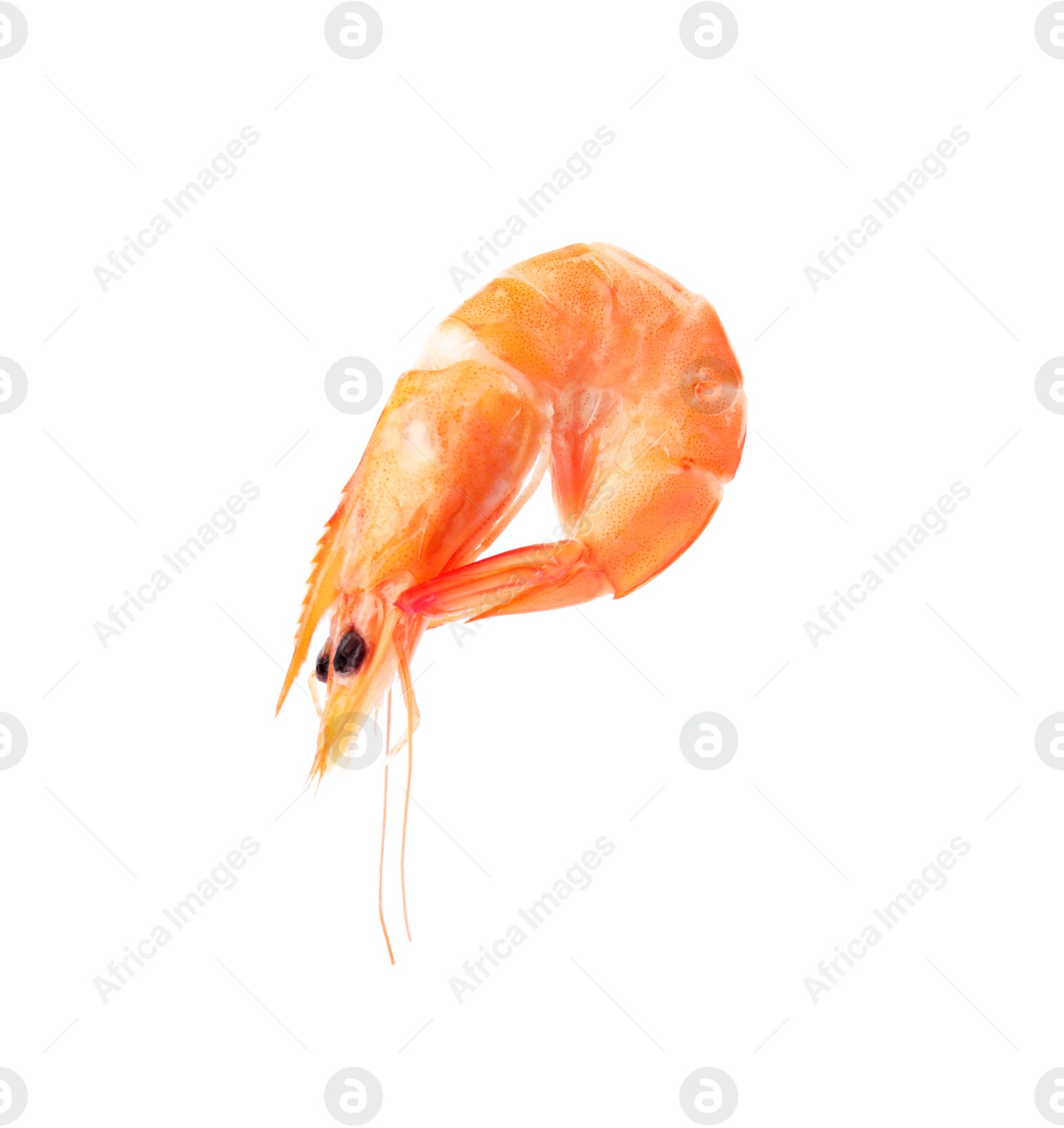 Photo of Delicious cooked whole shrimp on white background