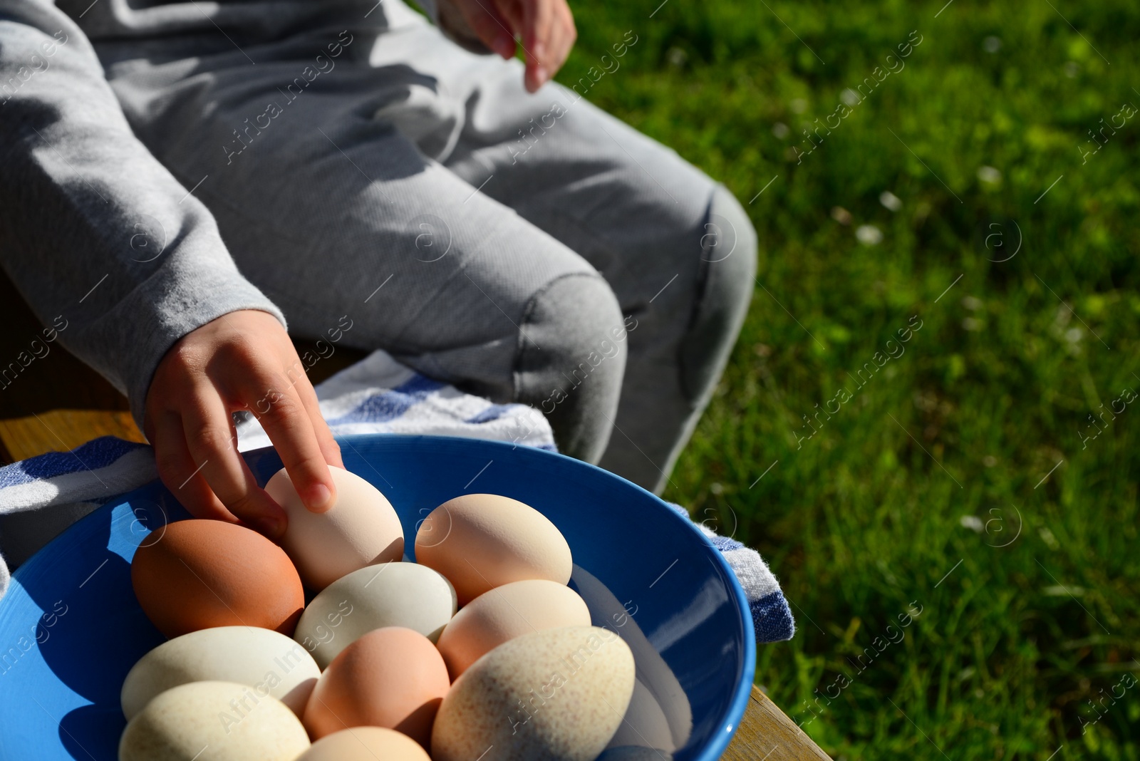 Photo of Child with plate of assorted eggs on wooden bench, closeup. Space for text