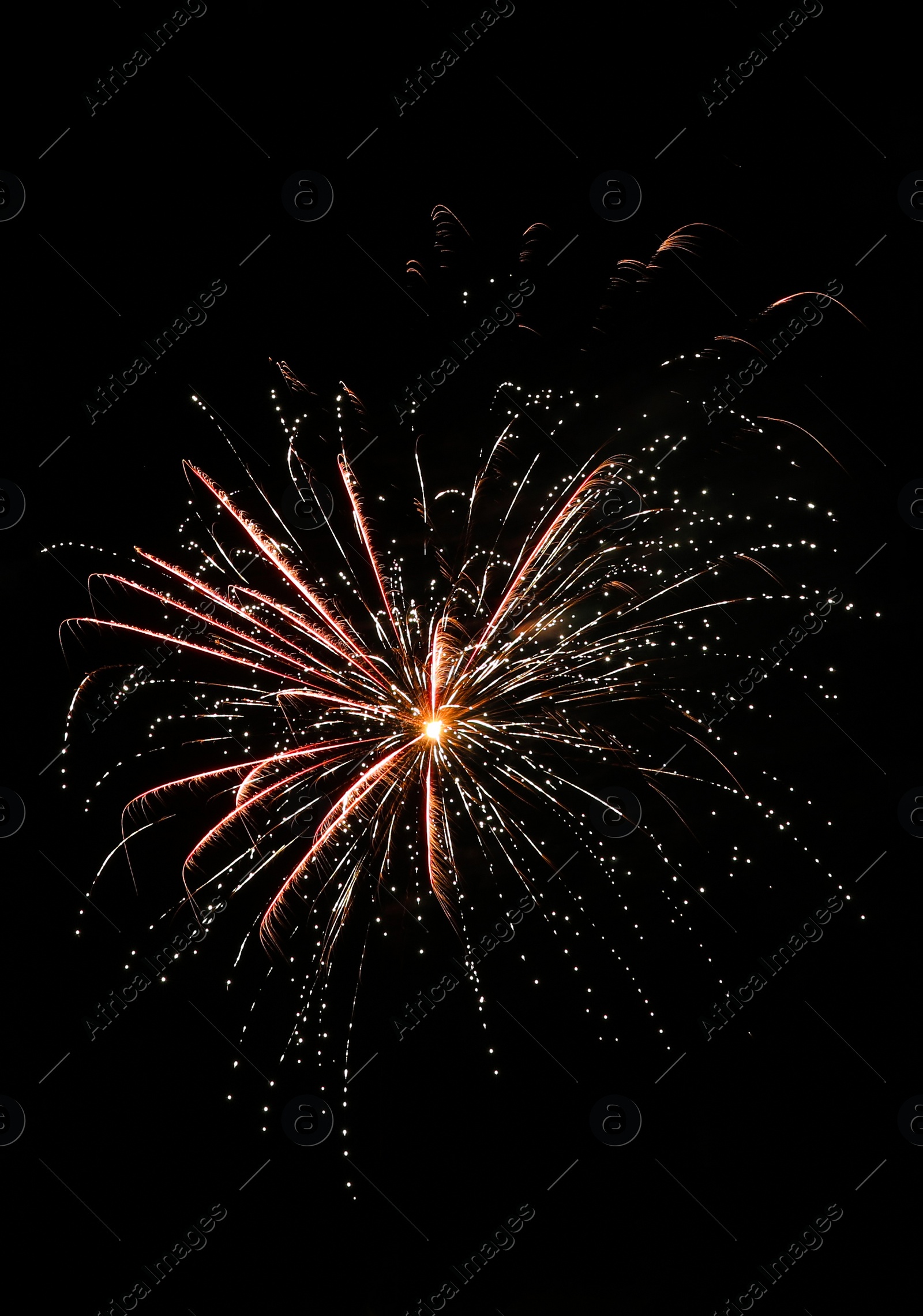 Photo of Beautiful bright firework lighting up night sky