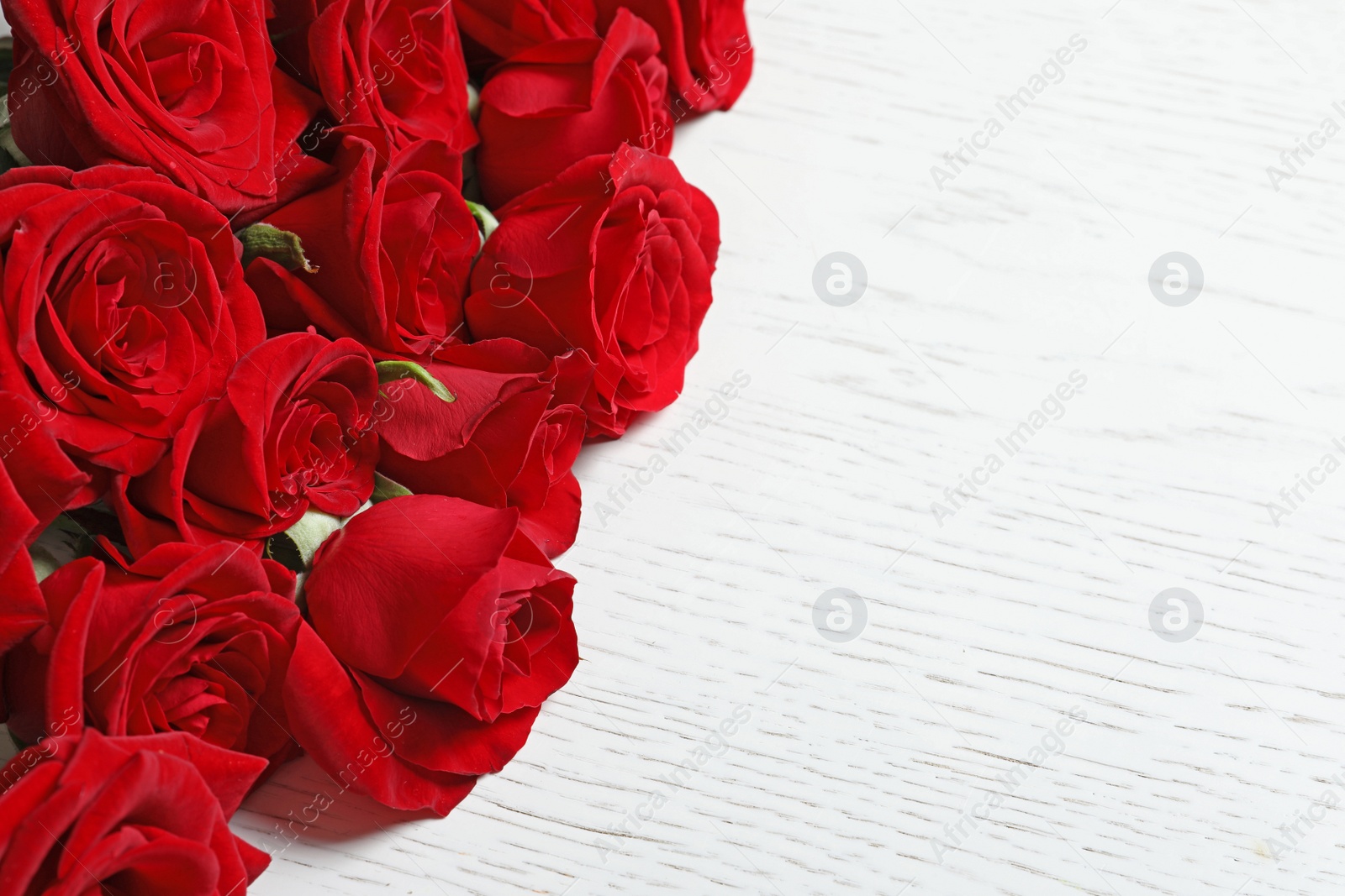 Photo of Beautiful red rose flowers on wooden background