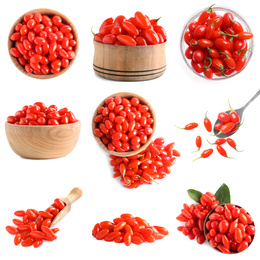 Set of fresh goji berries on white background