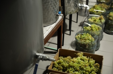 Photo of Steel tanks for wine fermentation and fresh grapes at factory