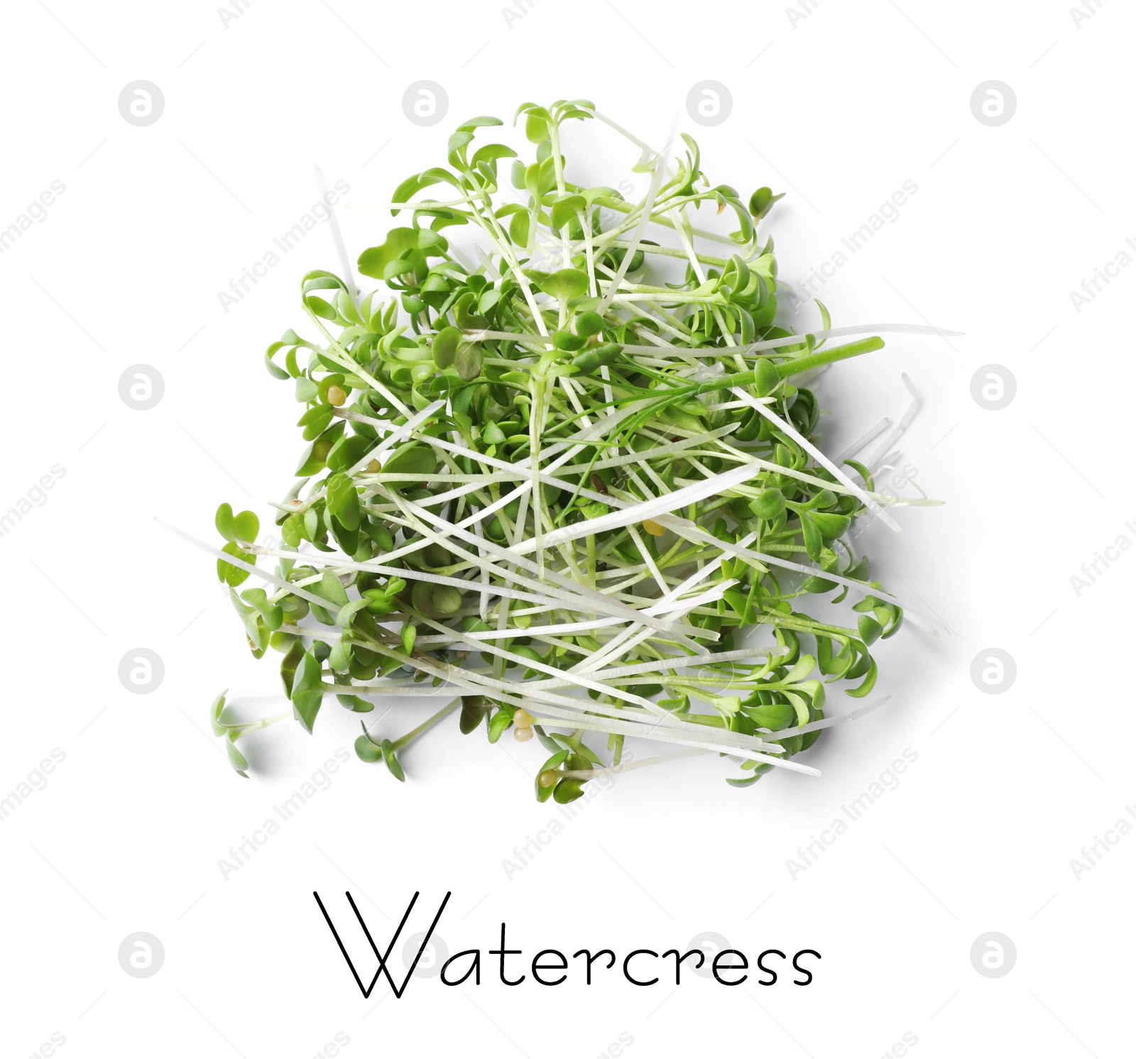 Image of Pile of fresh microgreen isolated on white, top view