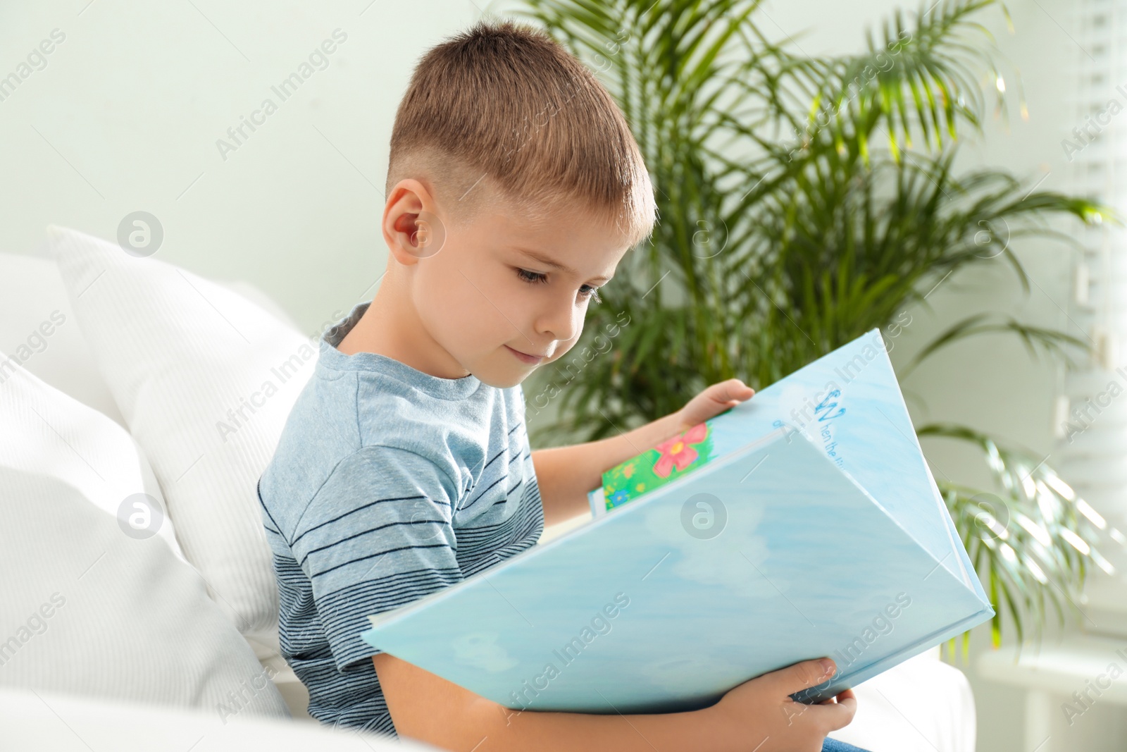 Photo of Little boy reading book on sofa indoors