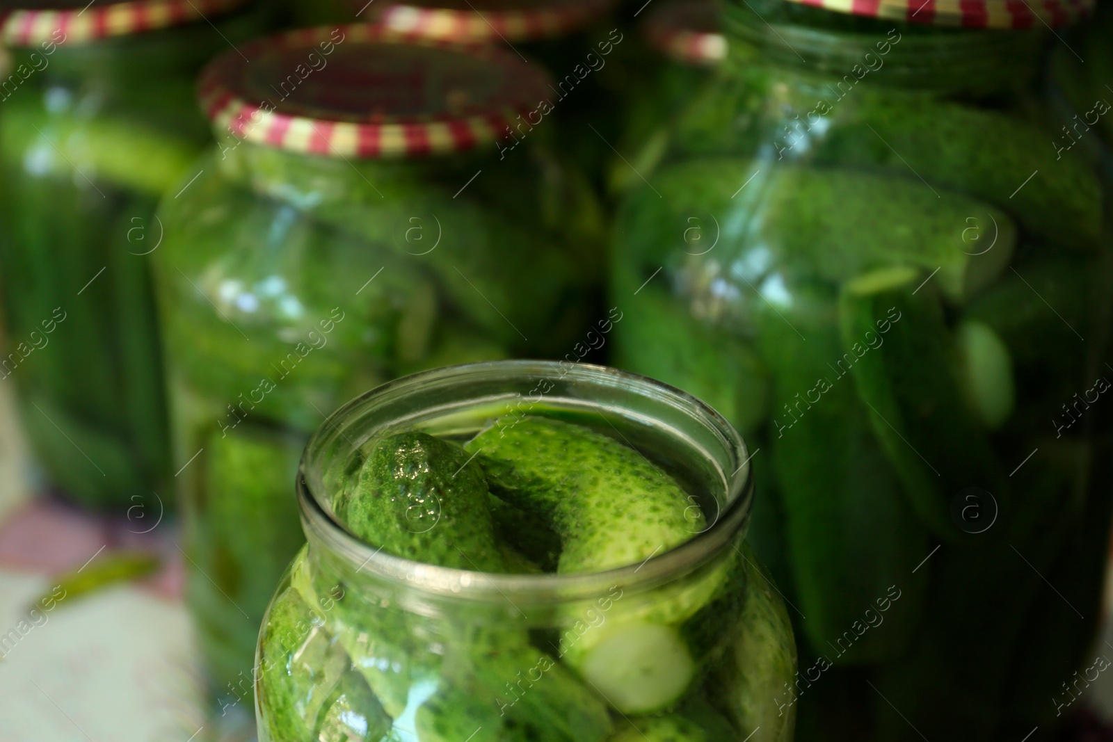 Photo of Many pickling jars with fresh cucumbers, closeup