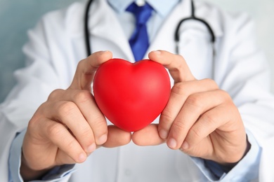 Photo of Doctor holding red heart, closeup view. Cardiology concept