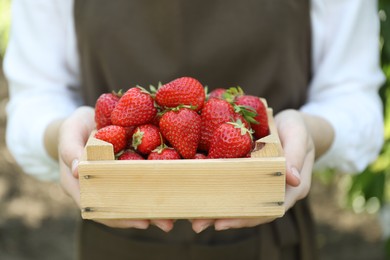 Photo of Woman holding wooden crate with ripe strawberries outdoors, closeup