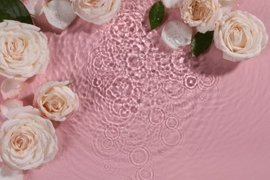 Beautiful roses, petals and leaves in water on pink background, top view. Space for text