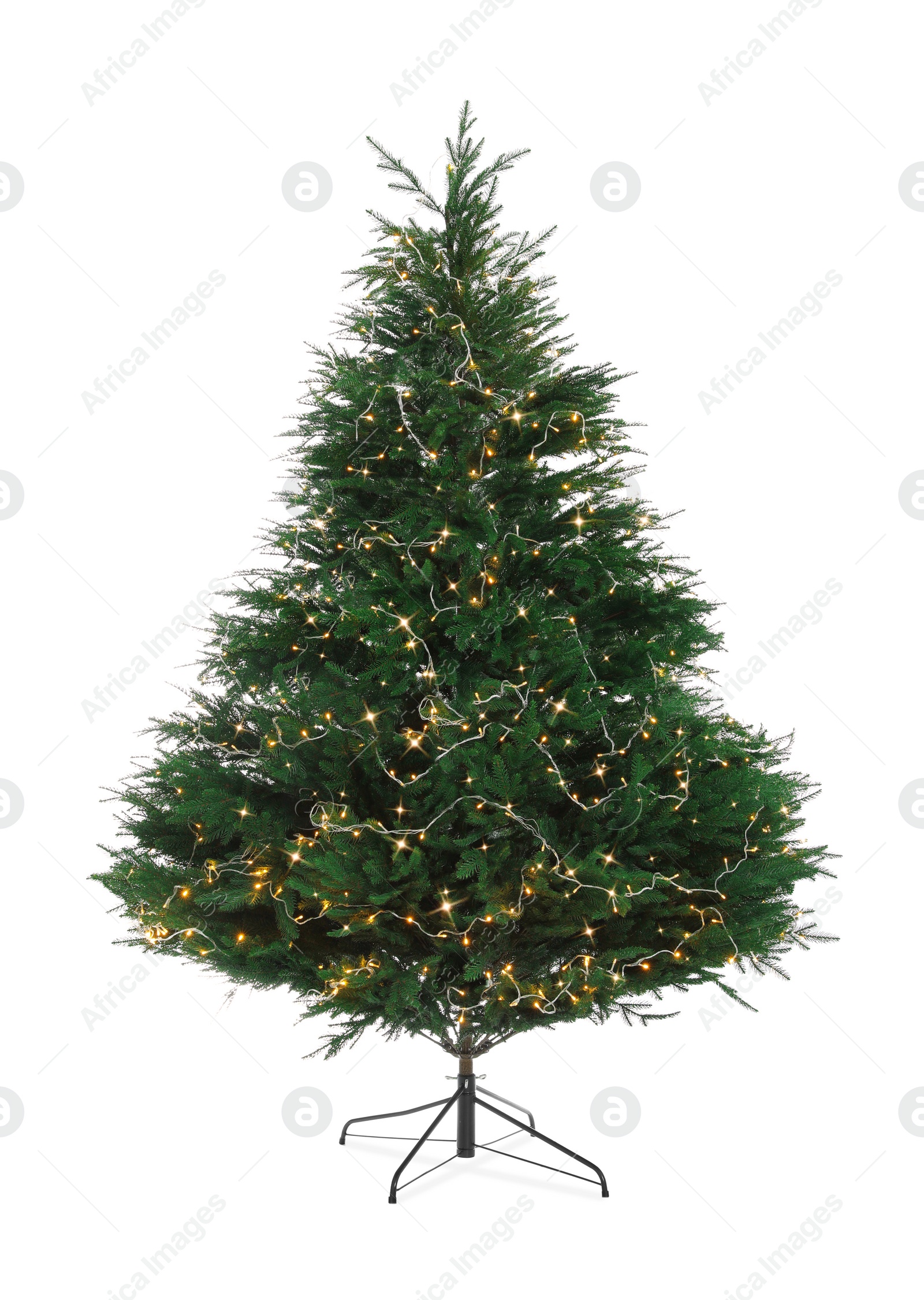 Photo of Beautiful Christmas tree with string lights isolated on white