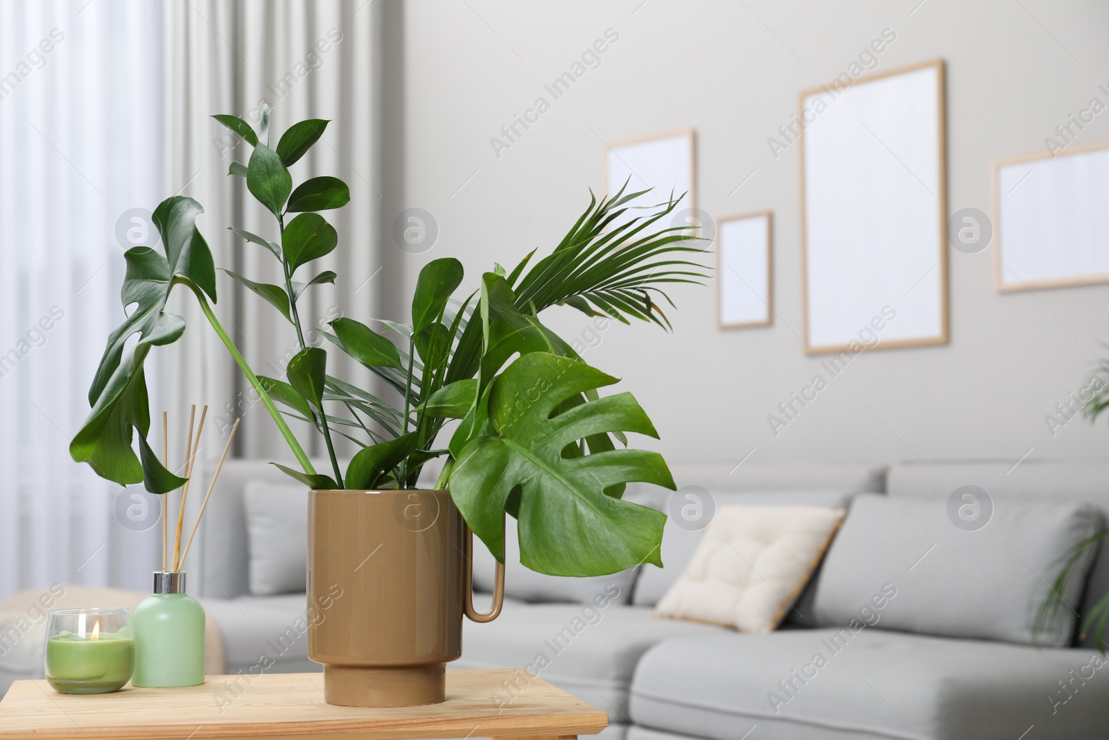 Photo of Ceramic vase with tropical leaves on wooden table in living room. Space for text