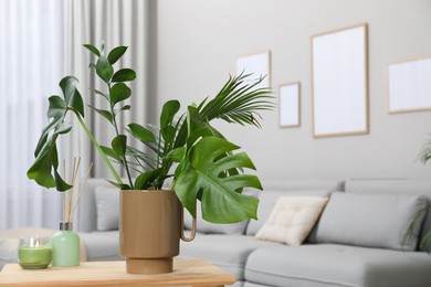 Ceramic vase with tropical leaves on wooden table in living room. Space for text