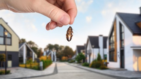 Woman holding dead cockroach and blurred view of modern houses on background. Pest control