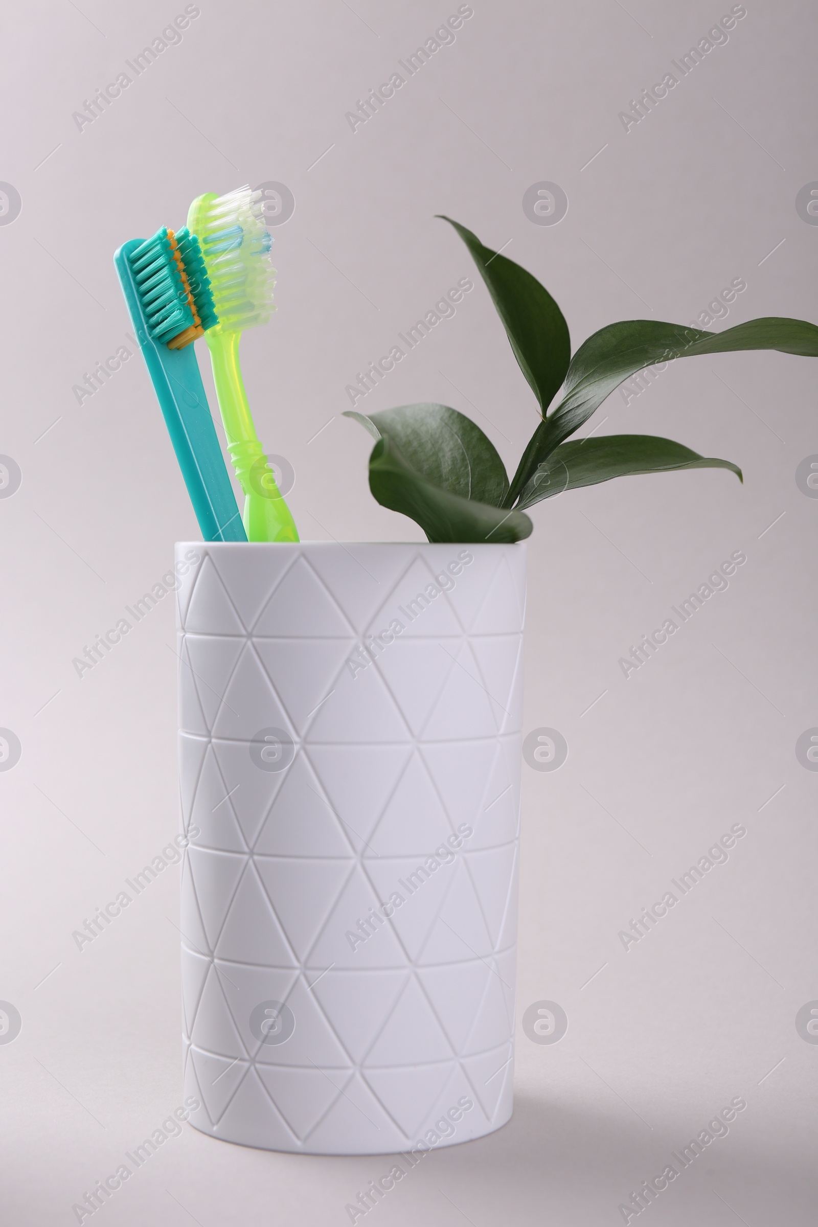 Photo of Colorful plastic toothbrushes and plant twig in container on light background