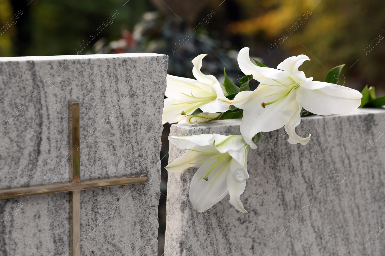 Photo of White lilies on granite tombstone outdoors. Funeral ceremony