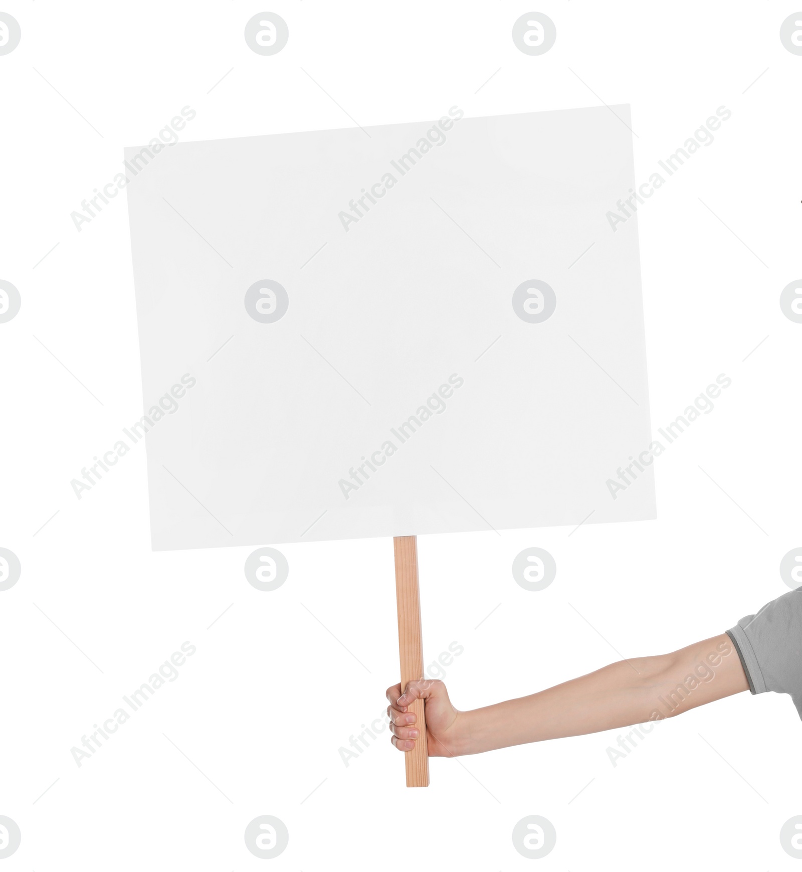 Photo of Woman holding blank sign on white background, closeup