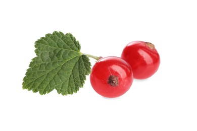 Photo of Fresh ripe red currant berries and green leaf isolated on white