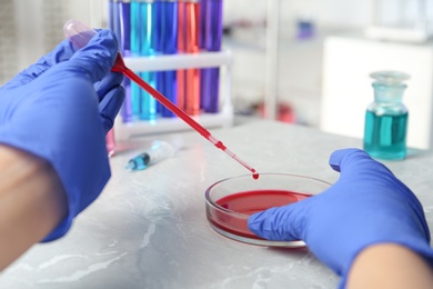 Photo of Scientist dripping reagent into Petri dish with sample in chemistry laboratory, closeup