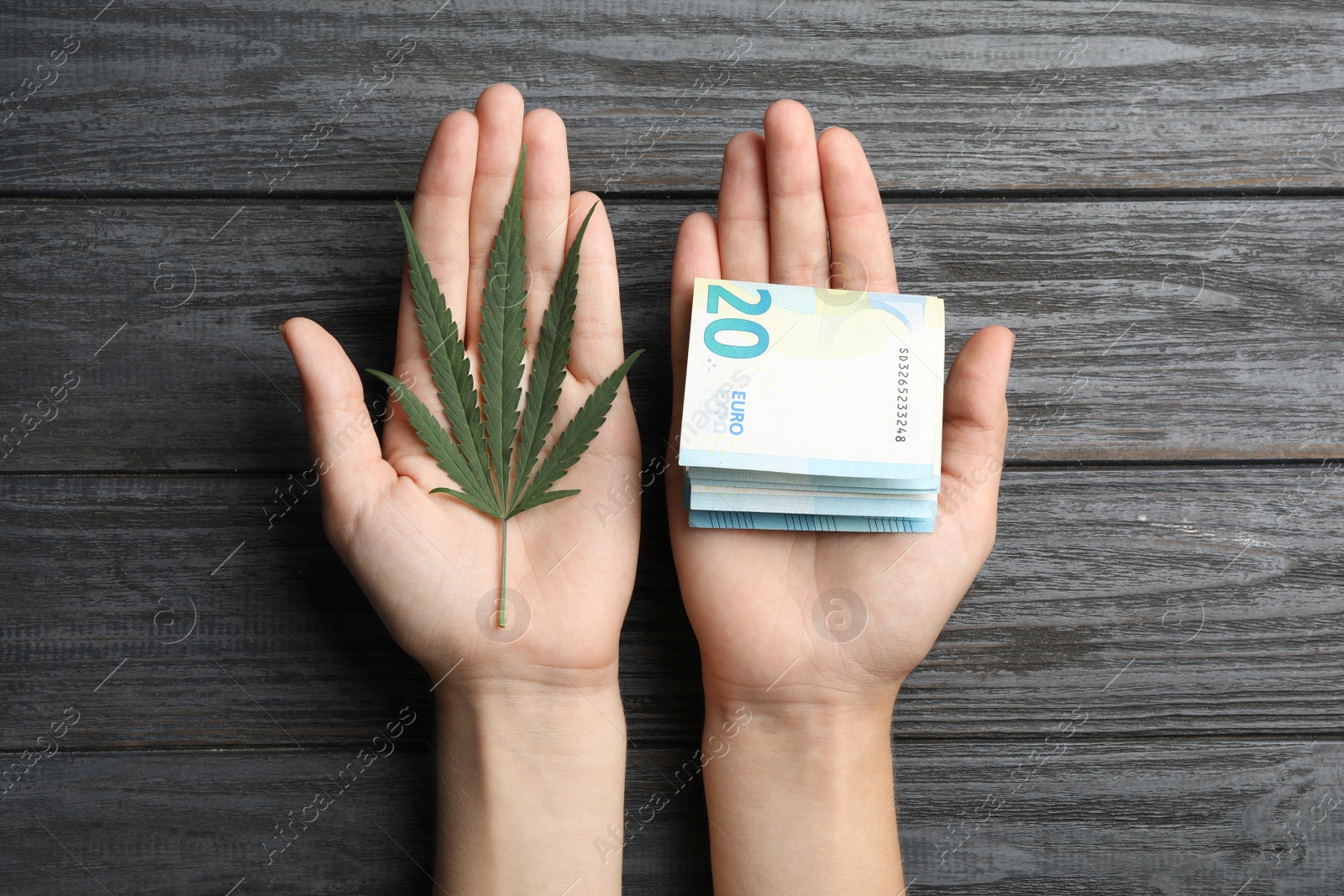 Photo of Woman holding hemp leaf and euro on grey wooden background, closeup