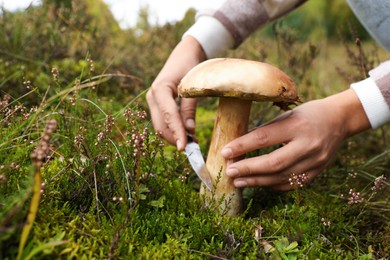 Photo of Man cutting porcini mushroom with knife outdoors, closeup. Space for text