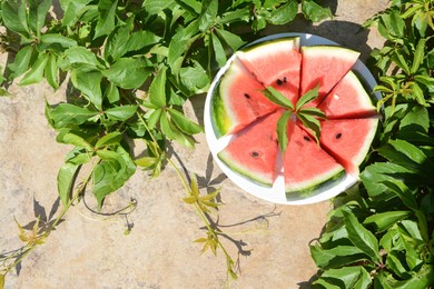 Slices of watermelon on white plate near plant with green leaves outdoors. Space for text