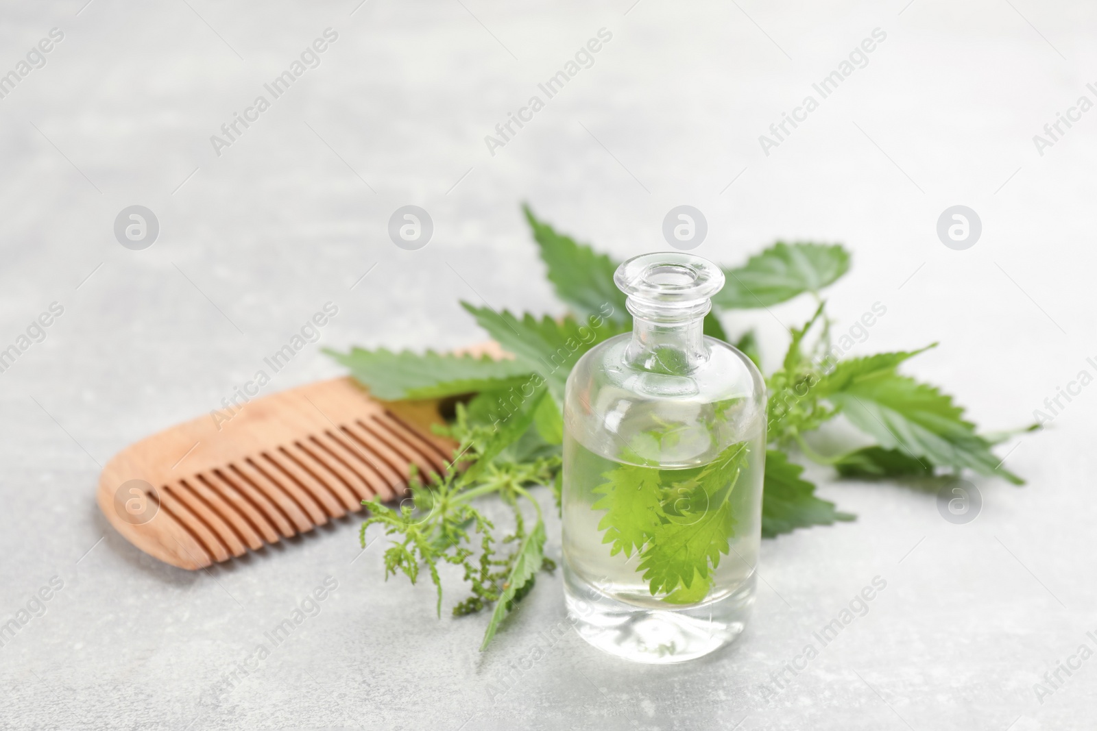 Photo of Stinging nettle, extract and comb on grey background. Natural hair care