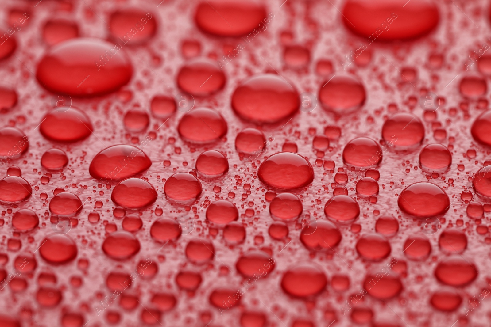 Photo of Water drops on red background, closeup view