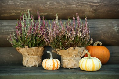 Photo of Beautiful heather flowers in pots and pumpkins on table near wooden wall