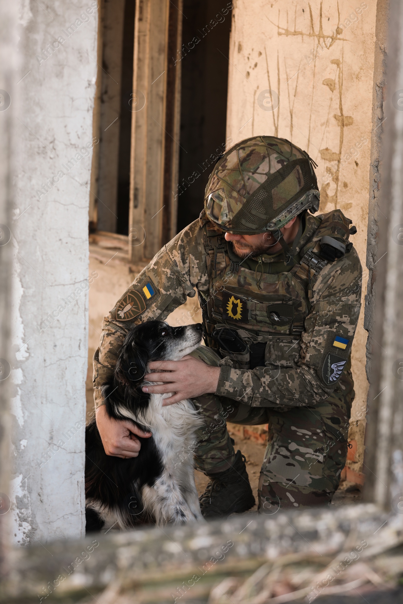 Photo of Ukrainian soldier with stray dog in abandoned building