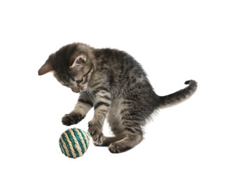 Photo of Little kitten playing with toy ball on white background