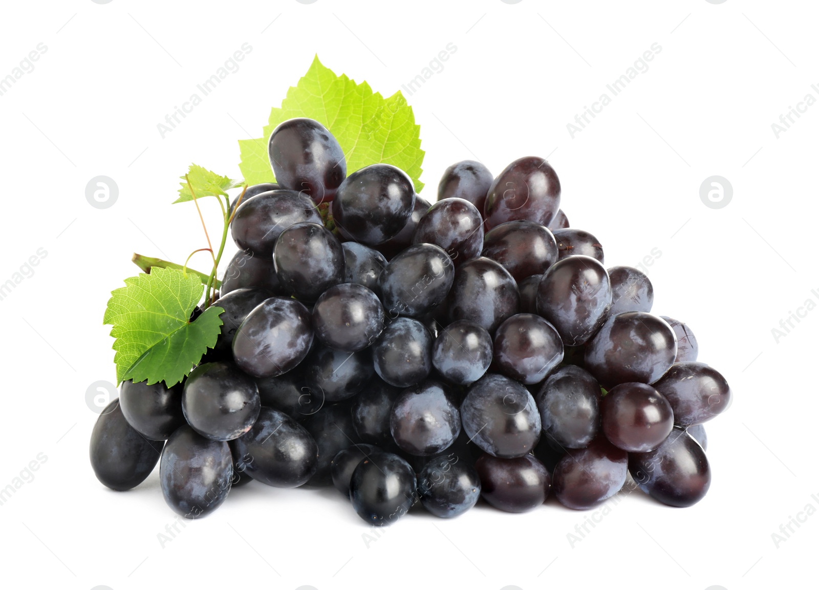 Photo of Bunch of fresh ripe juicy dark blue grapes with leaves isolated on white