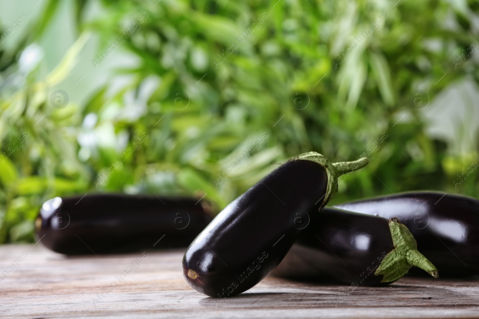 Photo of Ripe eggplants on table against blurred background