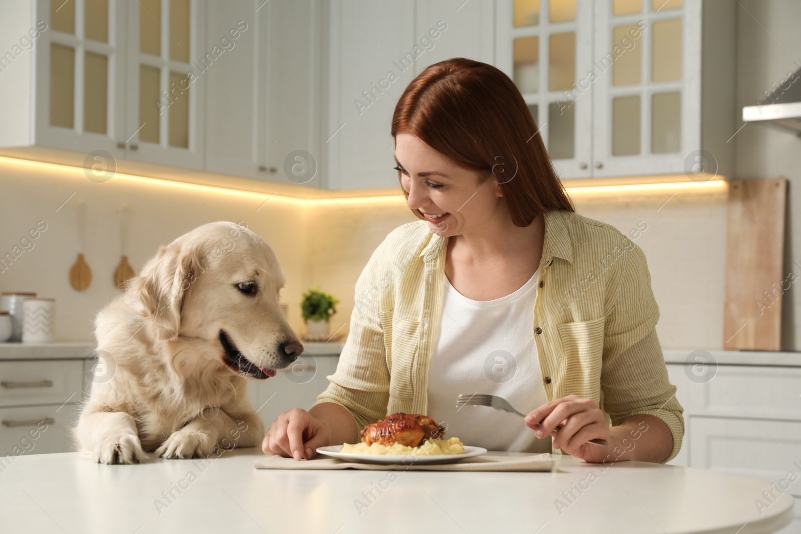Photo of Cute dog begging for food while owner eating at table