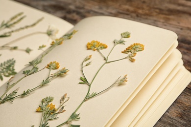 Wild dried meadow flowers in notebook on table, closeup