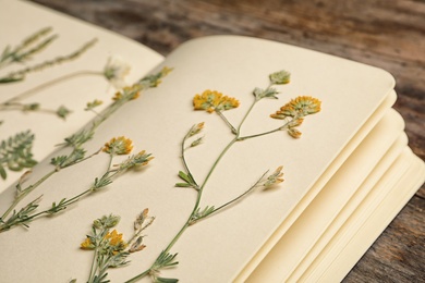 Photo of Wild dried meadow flowers in notebook on table, closeup