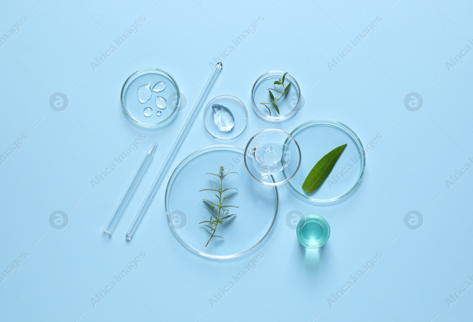 Photo of Laboratory glassware and natural ingredients for organic cosmetic product on light blue background, flat lay